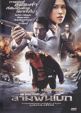 泰拳风云(2009)