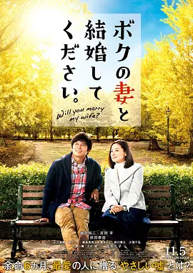 请和我的妻子结婚(2016)