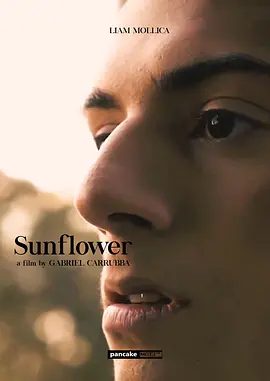 向日葵(2023)