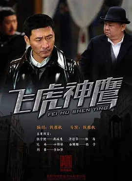 飞虎神鹰(2011)