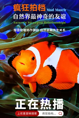 疯狂拍档：自然界最神奇的友谊(2020)