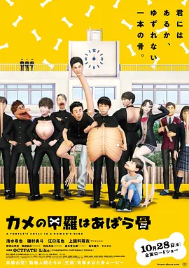 乌龟的壳其实是肋骨(2022)