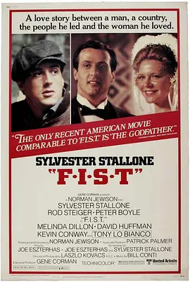 拳头大风暴(1978)