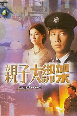 亲子大绑架(2003)