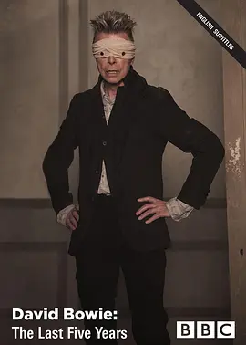 大卫·鲍伊：最后五年(2017)