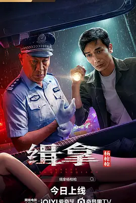 缉拿杨枪枪(2024)