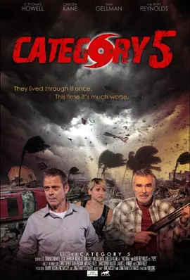 大飓风：灾难幸存者(2014)