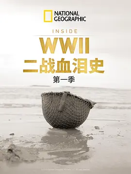 二战血泪史(2012)