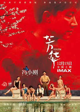 芳华(2017)