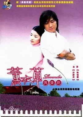 薰衣草(2001)